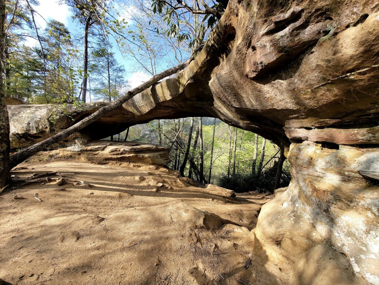 The Princess Arch Trail Might Be The Easiest Hike In Kentucky