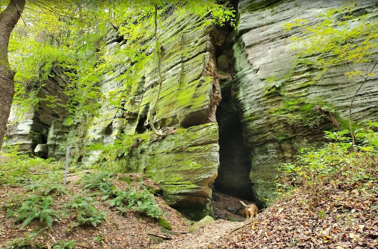 You’d Never Know One Of The Most Incredible Natural Wonders In Ohio Is Hiding In This Greater Cleveland Park