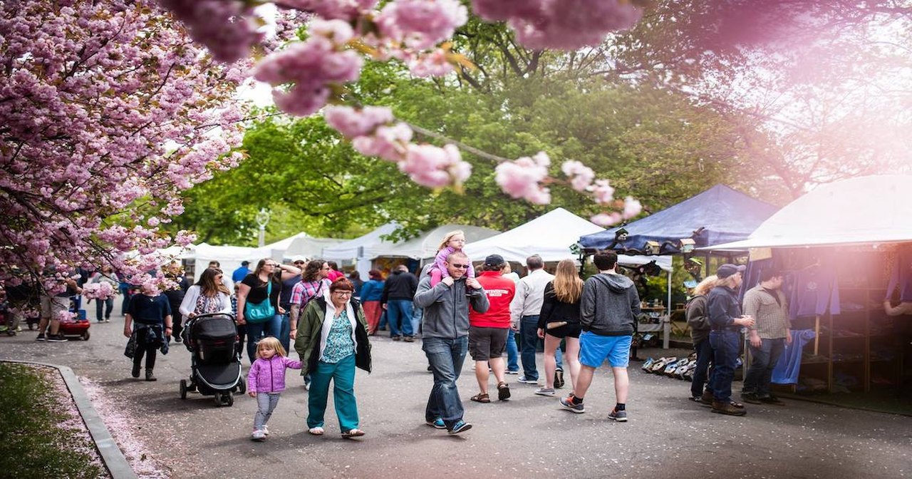 Don't Miss The Rochester Lilac Festival In New York