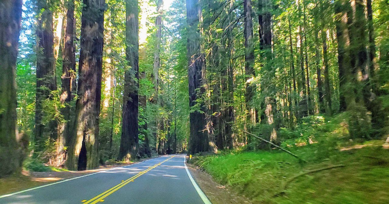 5 Inexpensive Road Trip Destinations In Northern California That Won’t Break The Bank