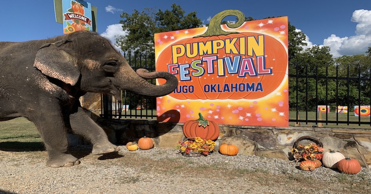 7 Best Fall Festivals In Oklahoma