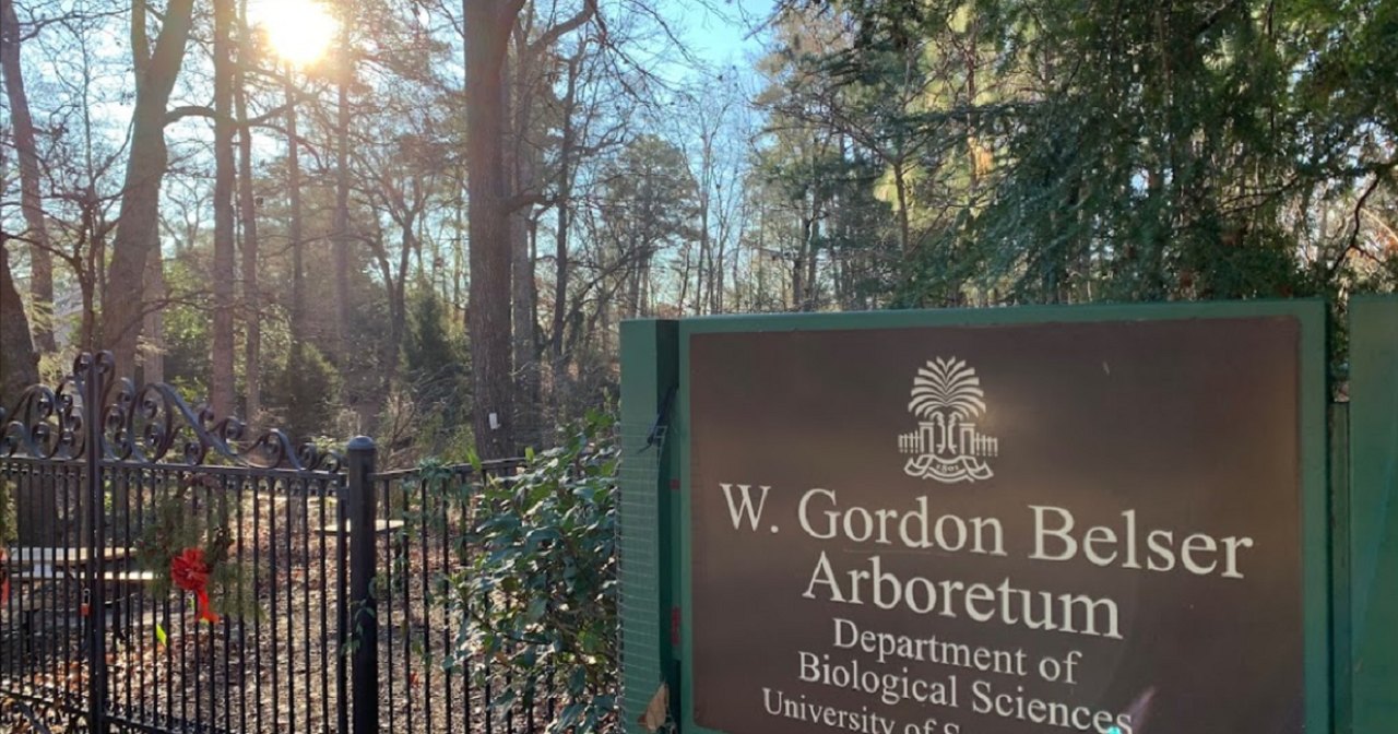 Explore A Little-Known Arboretum In South Carolina's Capital City