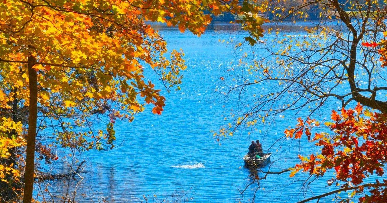 Best Fall Foliage In Arkansas: Mississippi River State Park