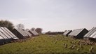 How to Raise Sheep on a Small Acreage for Profit | Chron.com