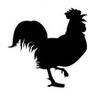 Instrucciones para hacer un traje de pollo
