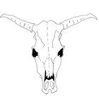 How to Draw a Cow Skull