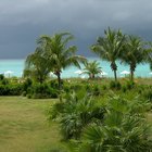 ¿Cuál es el peor momento para viajar a las Bahamas?