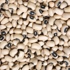 How to Freeze Black-Eyed Peas or Cowpeas | Our Everyday Life