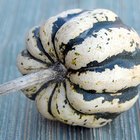 Roasted Sweet Dumpling Squash with Fennel