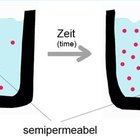 How Does Diffusion Work? | Sciencing