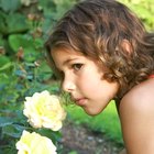 Games and Activities to Play With 3-Year-Olds