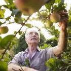 Checklist for Moving Elderly Parents