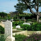 How to Write a Biographical Obituary