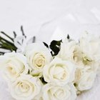 How to Surprise Your Wife Romantically