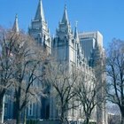 How Can I Research Genealogy Through the Mormon Church Database?
