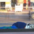What Is Emergency Housing?