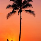 What Is a Tiki Party?