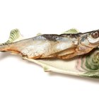 How to Raise Edible Fish in an Aquarium