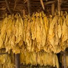 What Is Millesime in Fragrances?