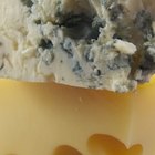 How to Freeze Cheeses