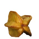 How to select a pineapple that is at the peak of ripeness
