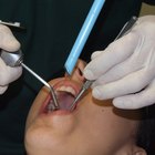 Lista de escuelas dentales de Canadá