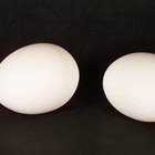 How to Make Easy to Peel Hard Cooked Eggs