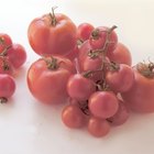 How to Freeze Stewed Tomatoes