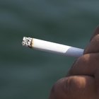 ¿Cómo extraer la nicotina del tabaco?