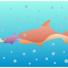 Cómo evitar y tratar el popeye en los peces betta