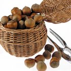 How to Eat Hazelnuts