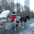 Romantic Places to Get Married in Chicago