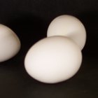 How to Bake a Cake Without Egg Whites