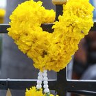 How to Make Indian Wedding Garlands