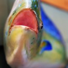How to Substitute Mahi Mahi for Halibut