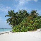 Cómo desalinizar agua de mar si estás varado en una isla desierta