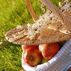 Cómo preparar un picnic romántico