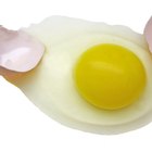 100 Percent Protein Foods