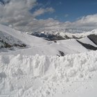 Cómo hacer una cadena alimenticia de la tundra