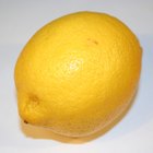How to Zest & Juice a Lemon