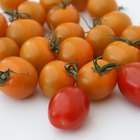 How to Freeze Fresh Tomatoes & Tomato Sauce