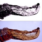 Formas en que el agua puede ser purificada en casa