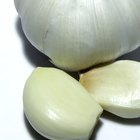 How to Roast Peeled Garlic Cloves