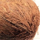 Safety and Dangers of Coconut Oil