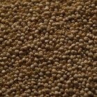 How to Make Quinoa Flour