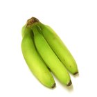 The Most Popular Foods of Puerto Rico