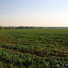 ¿Cuáles son los beneficios de la agricultura?