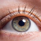 Cuáles son las funciones de la lente en el ojo