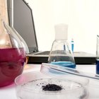 ¿Cuáles son los elementos de un proyecto para una feria de ciencias?