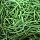 How to Blanch Green Beans for Freezing